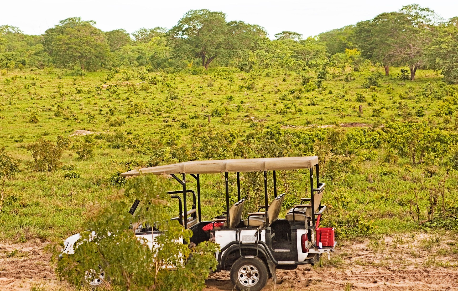 Safari Vehicle
